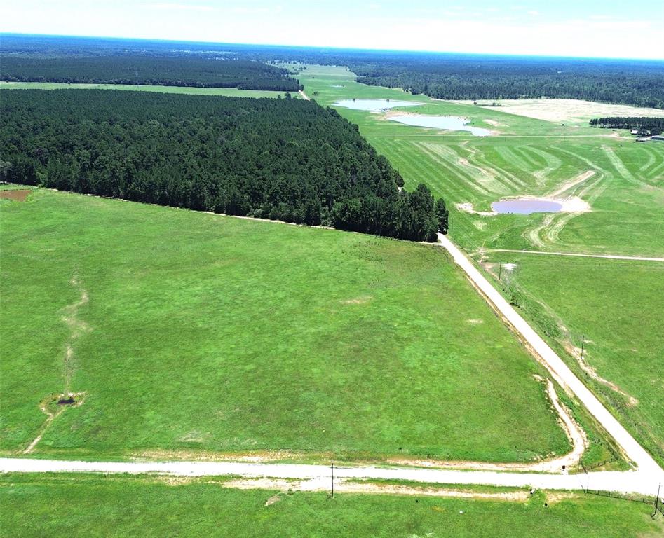 TBD Cr 4025, Crockett, Texas image 3