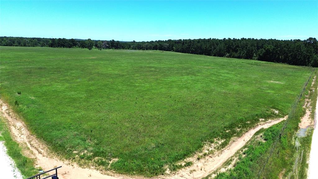 TBD Cr 4025, Crockett, Texas image 8