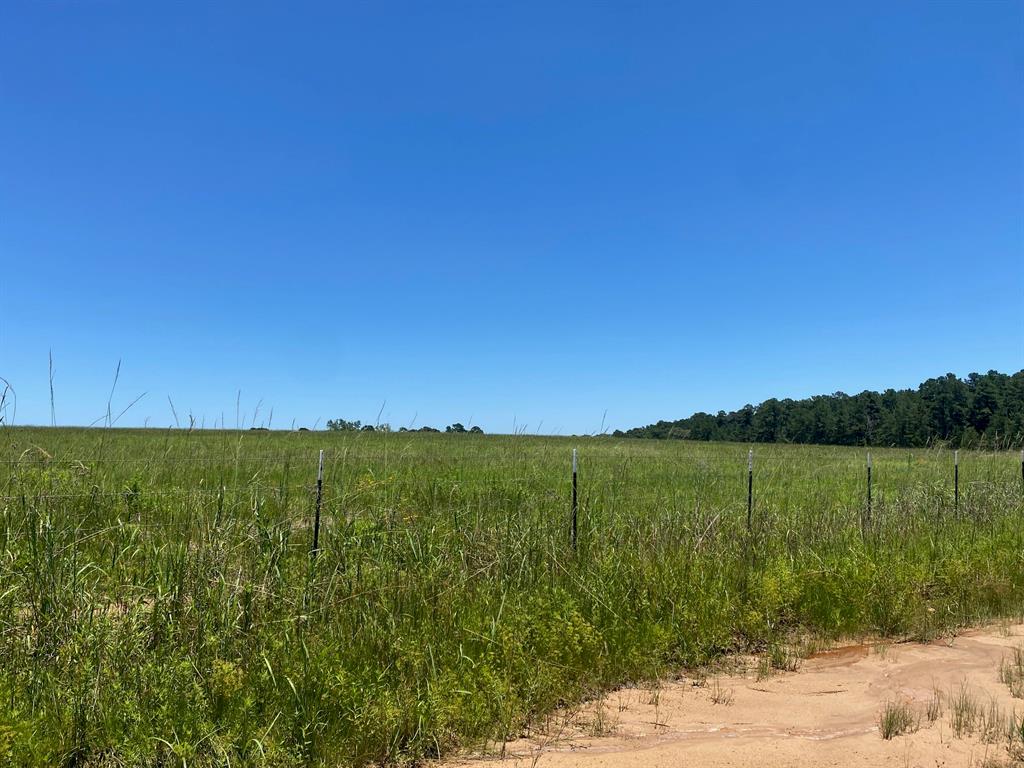 TBD Cr 4025, Crockett, Texas image 11
