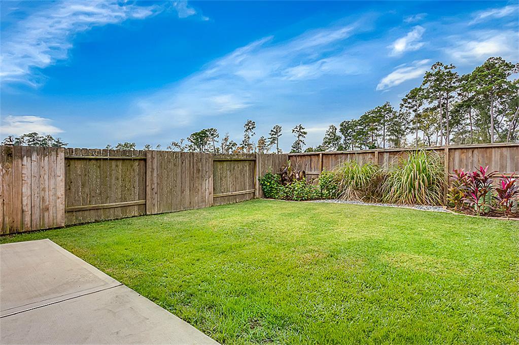 251 Bloomhill Place, The Woodlands, Texas image 31