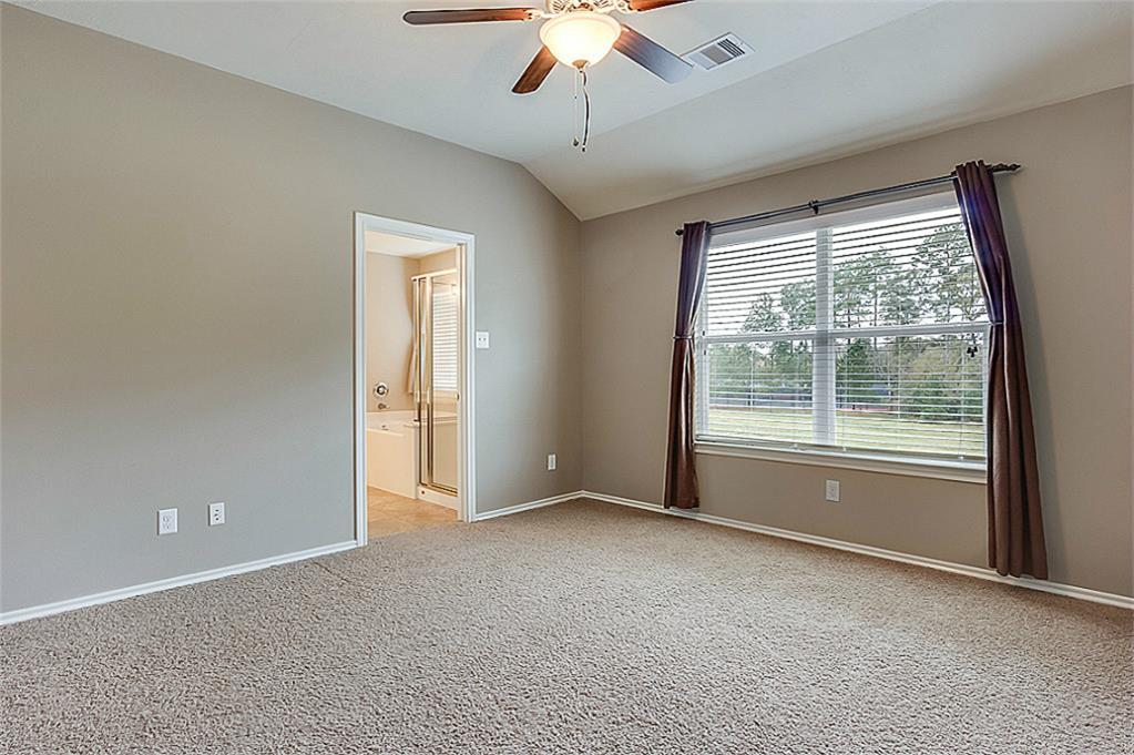 251 Bloomhill Place, The Woodlands, Texas image 19
