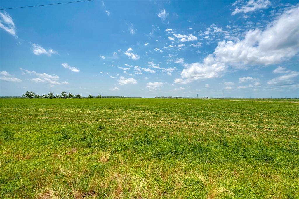 Schultz Road, Damon, Texas image 13