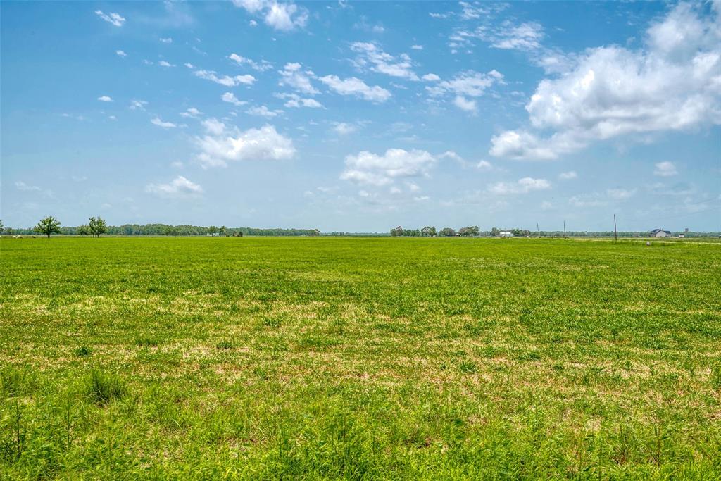 Schultz Road, Damon, Texas image 14