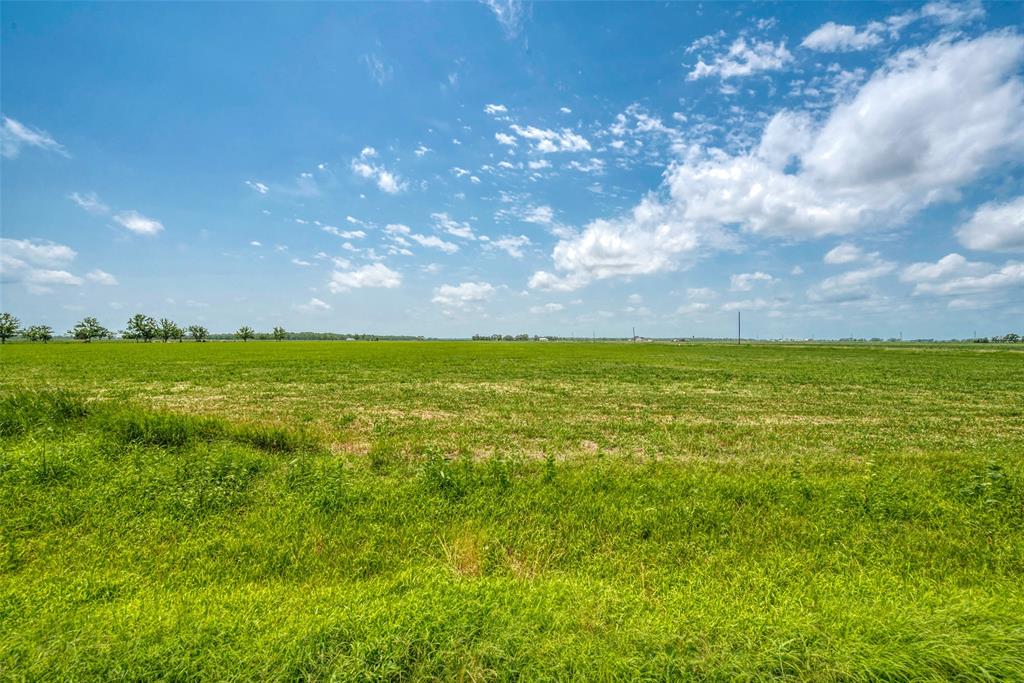 Schultz Road, Damon, Texas image 15