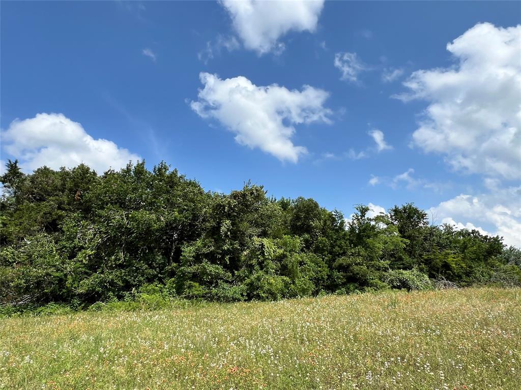 TBD Hwy 290, Burton, Texas image 8