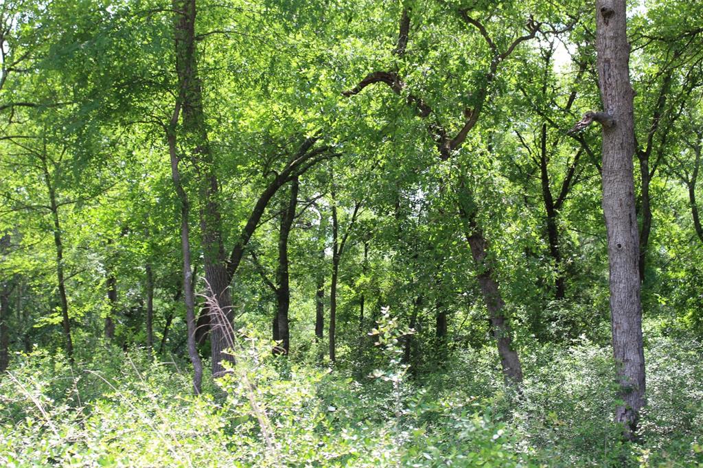 Tract 136 Private Road 1313, Centerville, Texas image 13