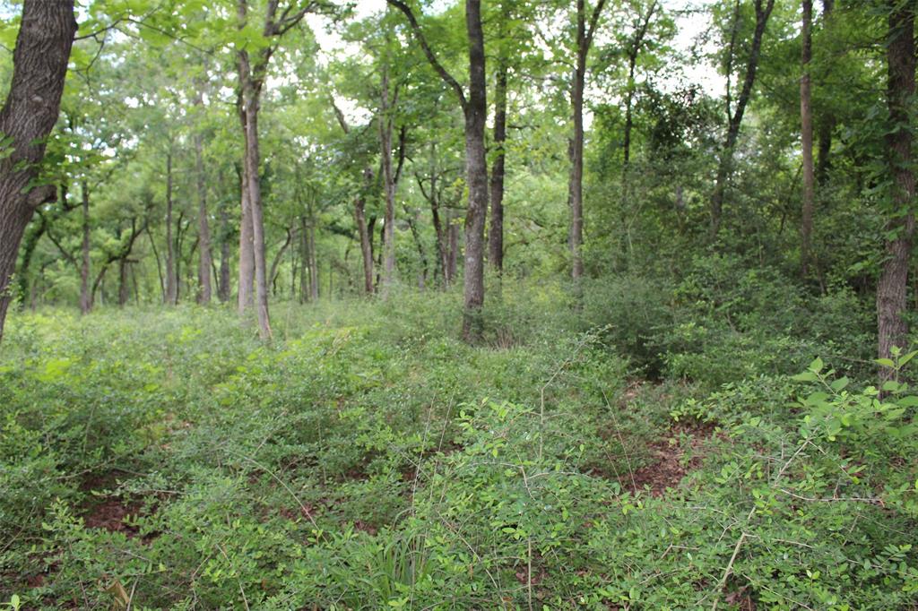 Tract 136 Private Road 1313, Centerville, Texas image 16