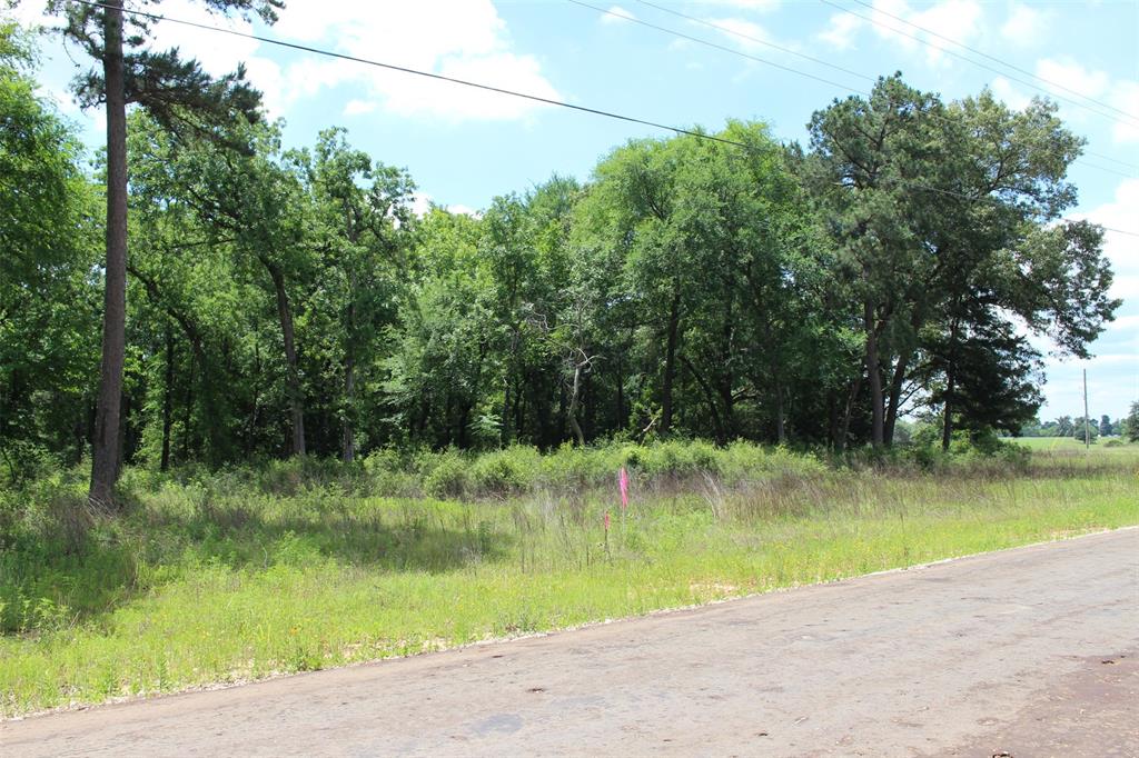 Tract 136 Private Road 1313, Centerville, Texas image 18