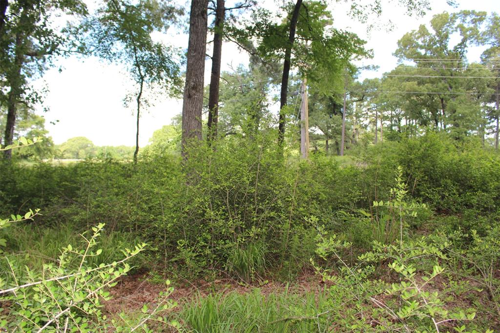 Tract 136 Private Road 1313, Centerville, Texas image 17