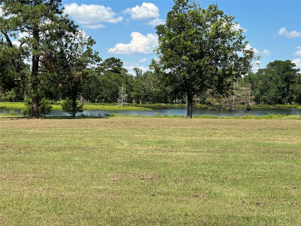 10 Walnut Loop, Shepherd, Texas image 10