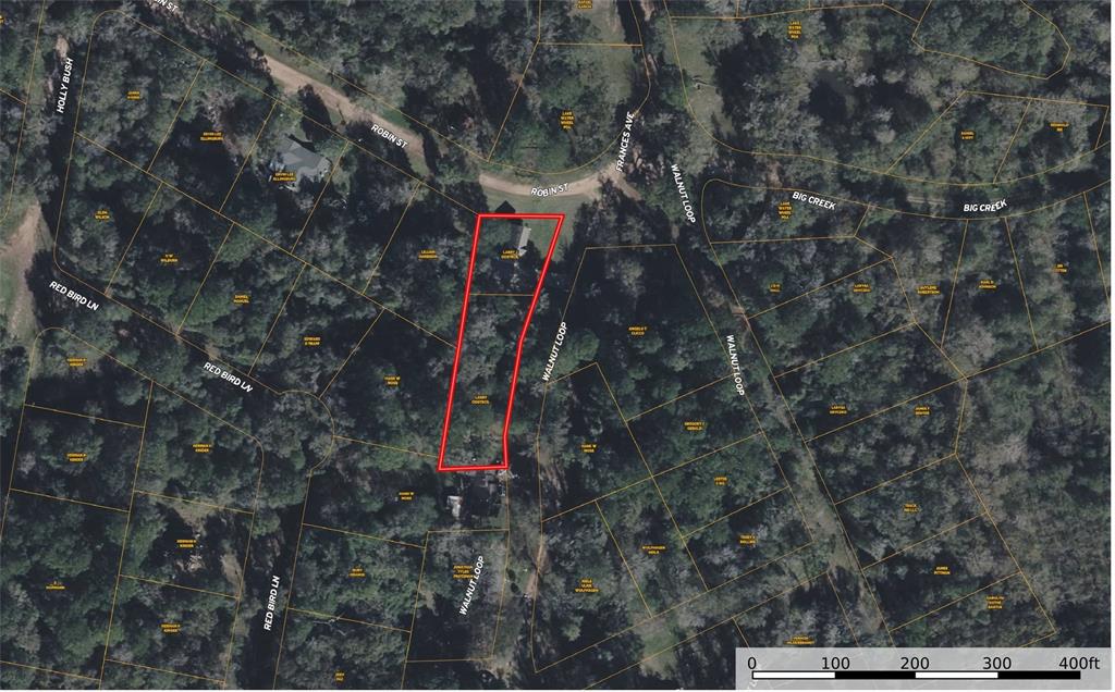 10 Walnut Loop, Shepherd, Texas image 8