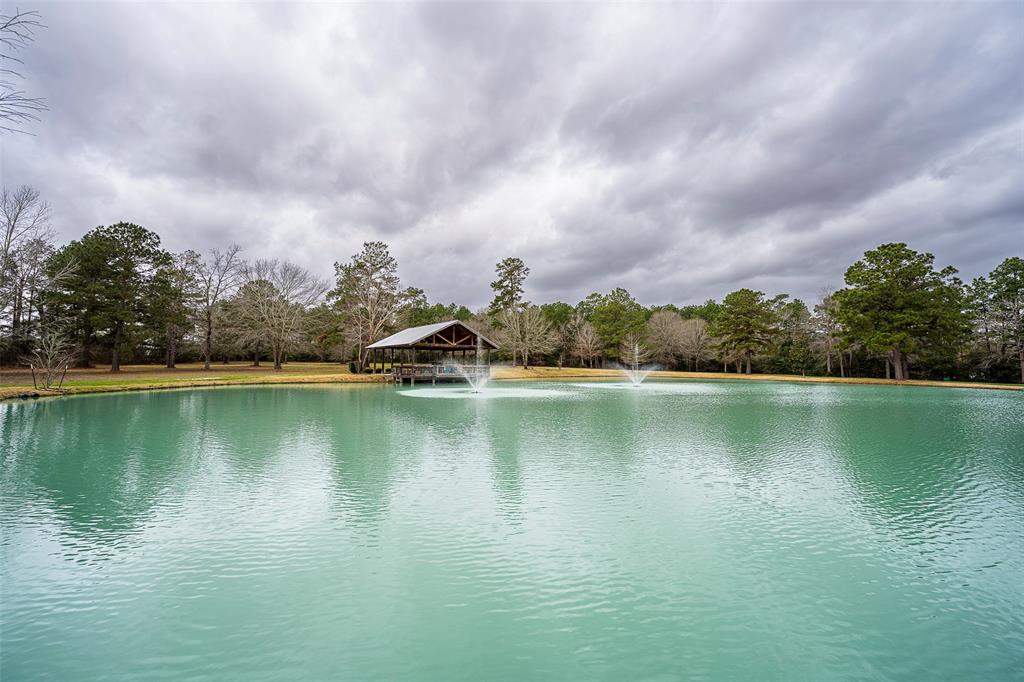 4325 Fm 149 Road, Magnolia, Texas image 33