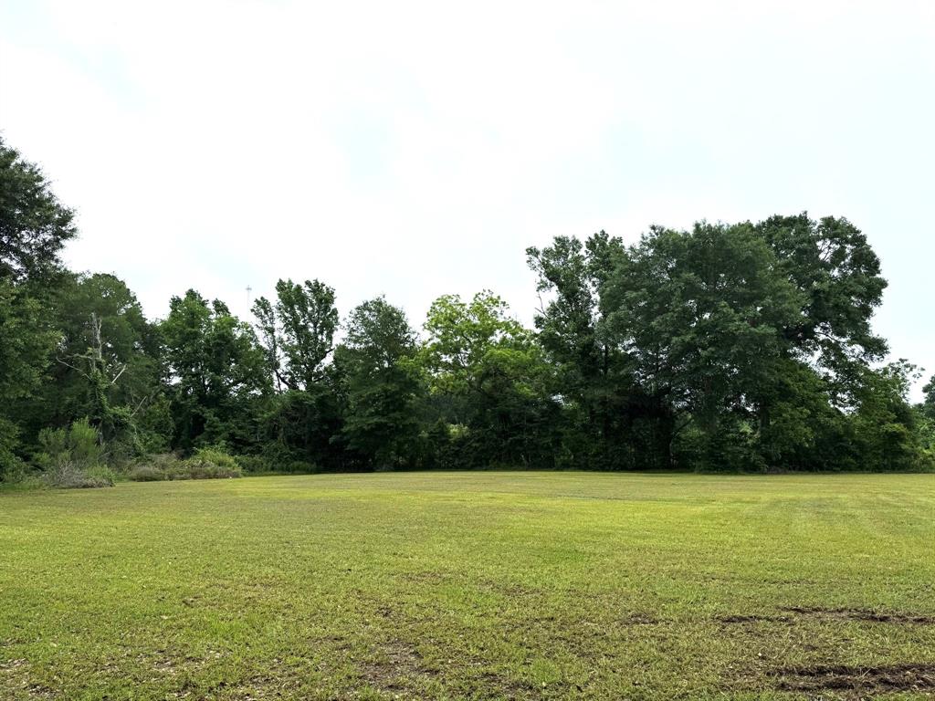 12253 Fm Hwy 92 S, Spurger, Texas image 31