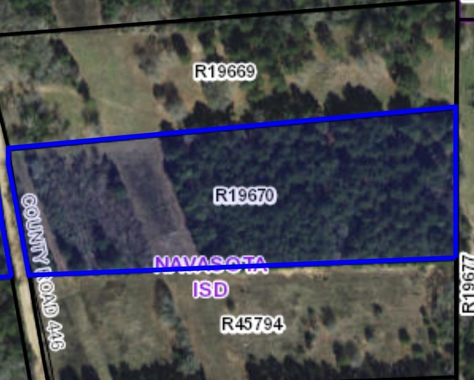 10875 County Road 446, Navasota, Texas image 1