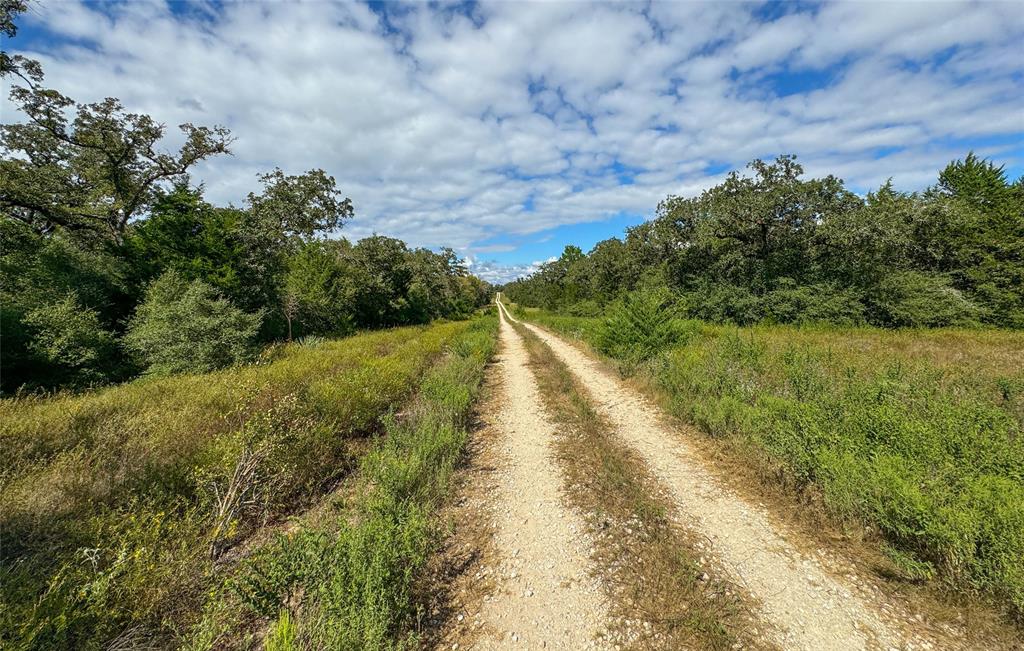 TBD Off Quail Run Road - 50 Acres, Caldwell, Texas image 5