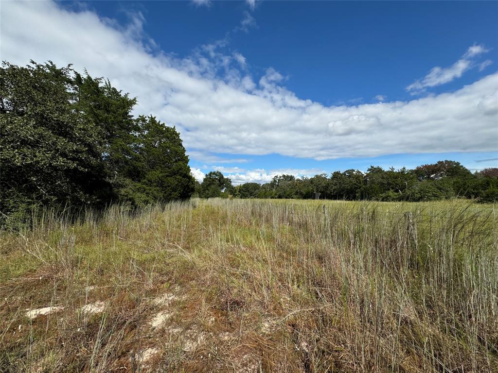 TBD Off Quail Run Road - 50 Acres, Caldwell, Texas image 3