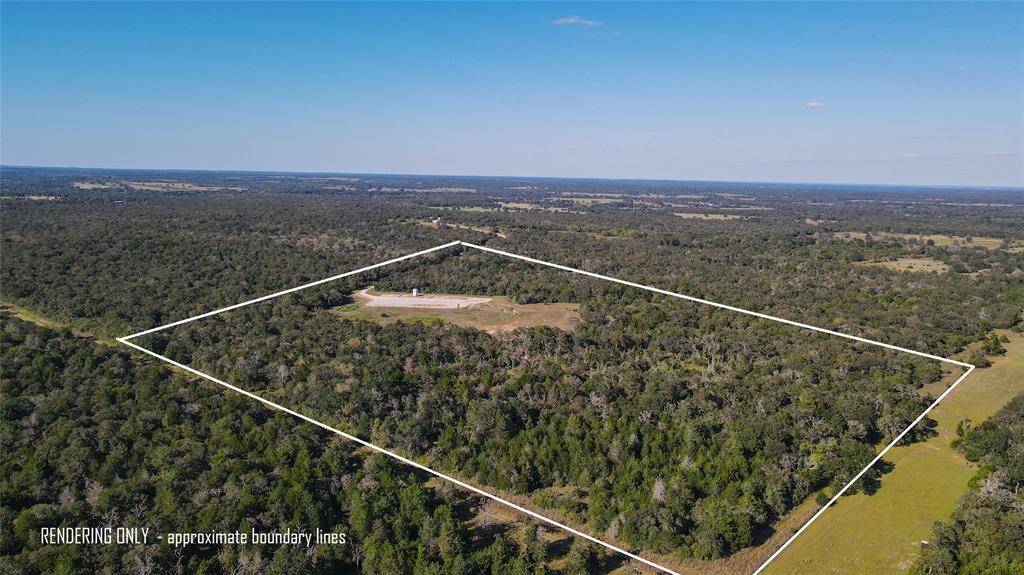 TBD Off Quail Run Road - 50 Acres, Caldwell, Texas image 8