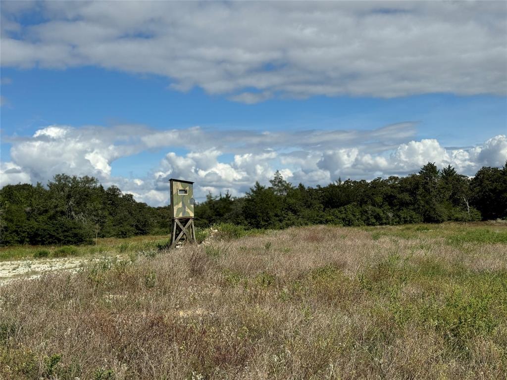 TBD Off Quail Run Road - 50 Acres, Caldwell, Texas image 1