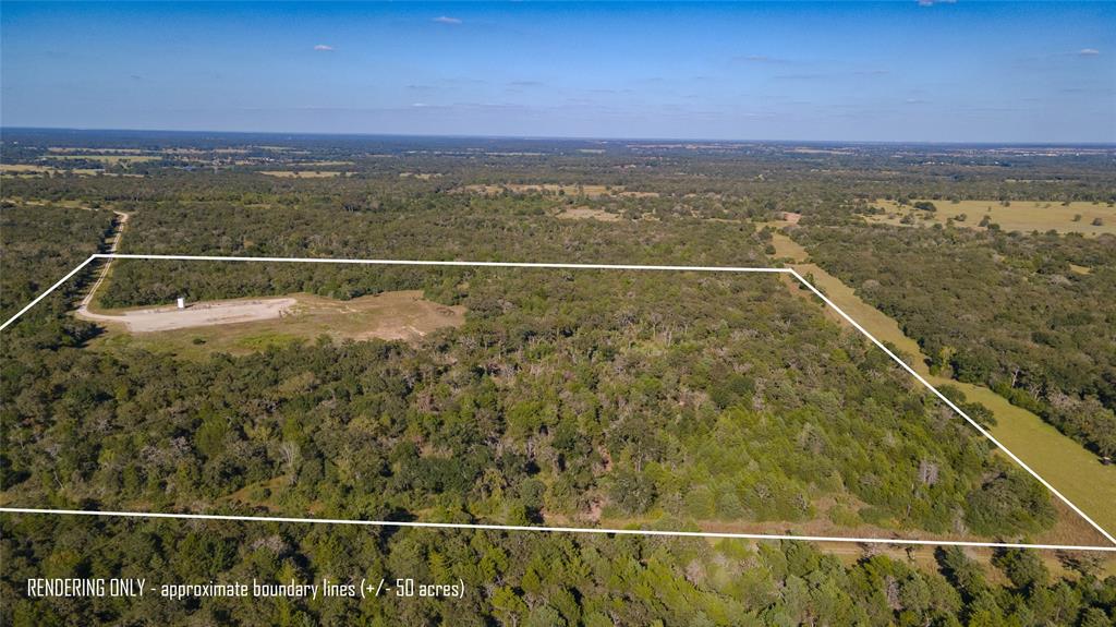 TBD Off Quail Run Road - 50 Acres, Caldwell, Texas image 7