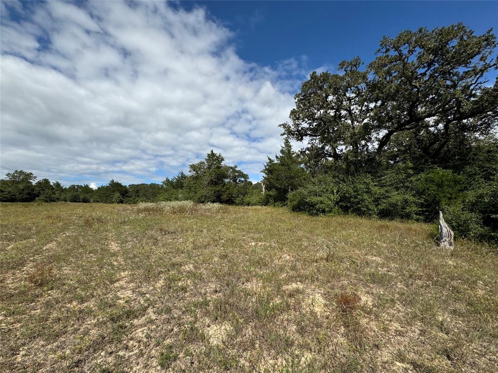 TBD Off Quail Run Road - 50 Acres, Caldwell, Texas image 2