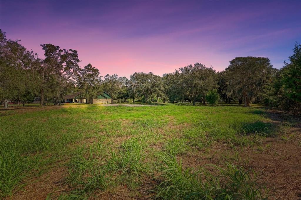 802 Bolivar Avenue, Anahuac, Texas image 1