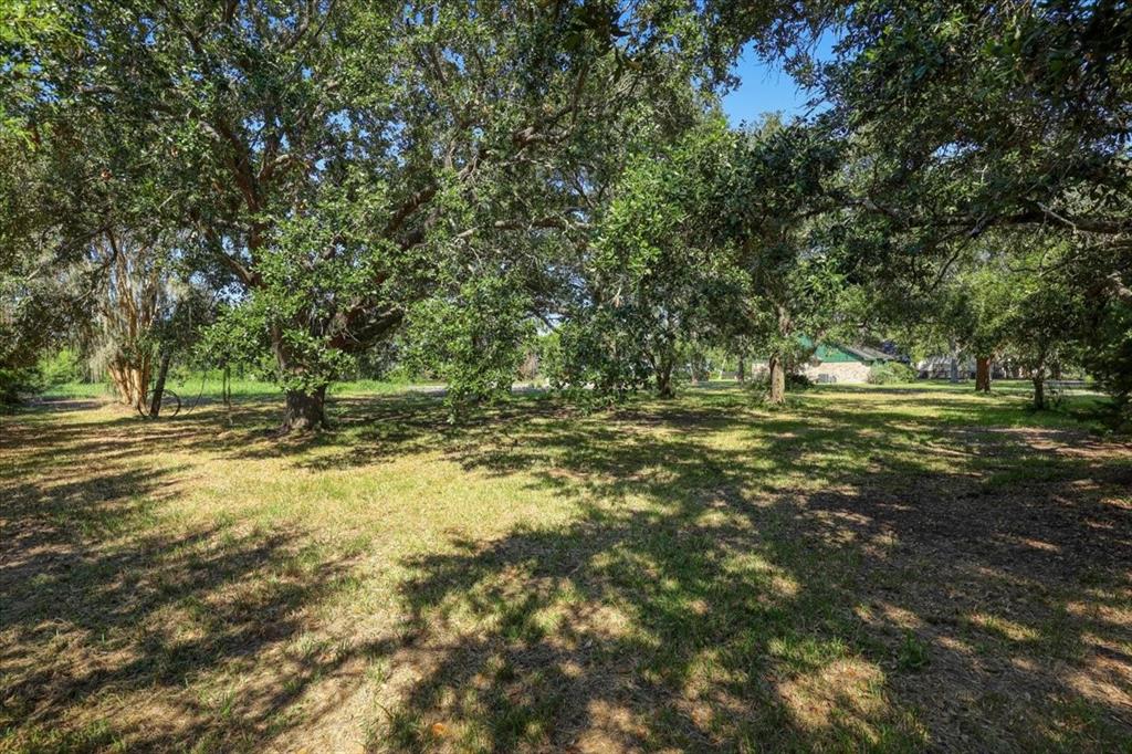 802 Bolivar Avenue, Anahuac, Texas image 8