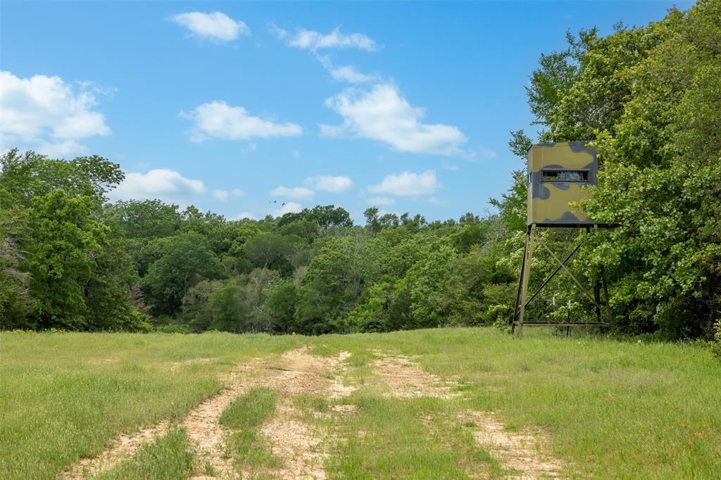 +/-1600 AC Fm 979, Franklin, Texas image 10