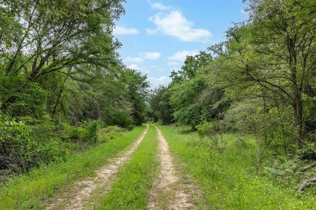 +/-1600 AC Fm 979, Franklin, Texas image 18