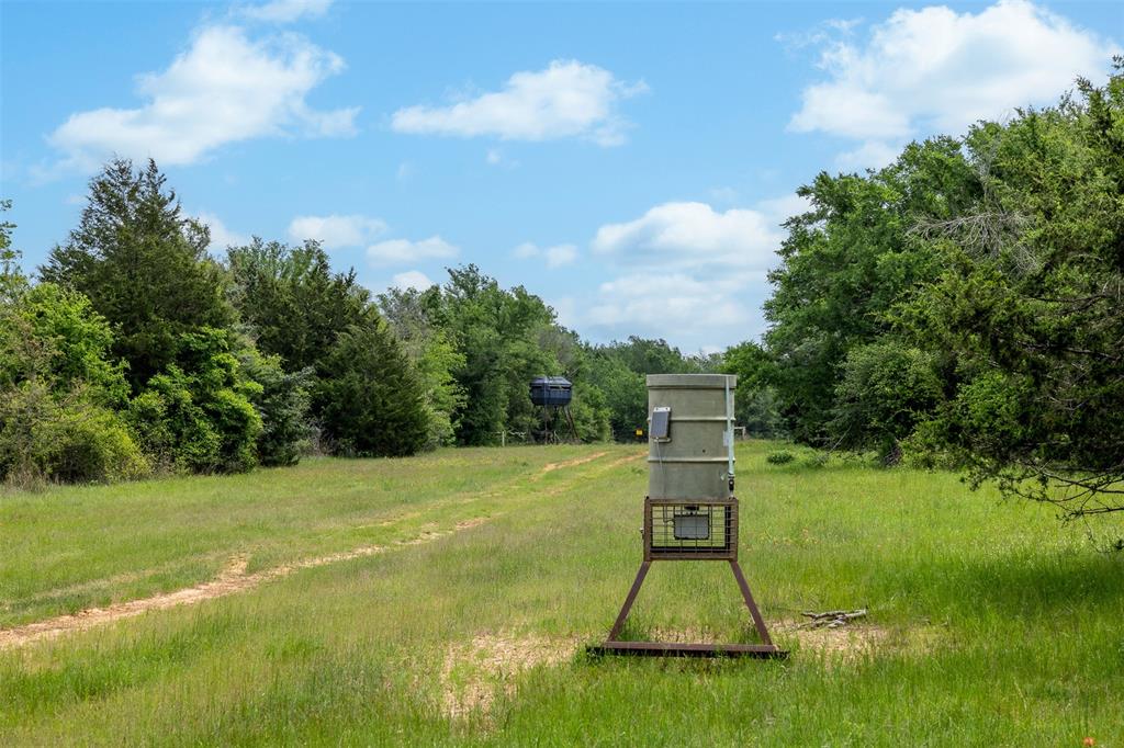 +/-1600 AC Fm 979, Franklin, Texas image 15