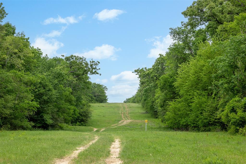 +/-1600 AC Fm 979, Franklin, Texas image 21