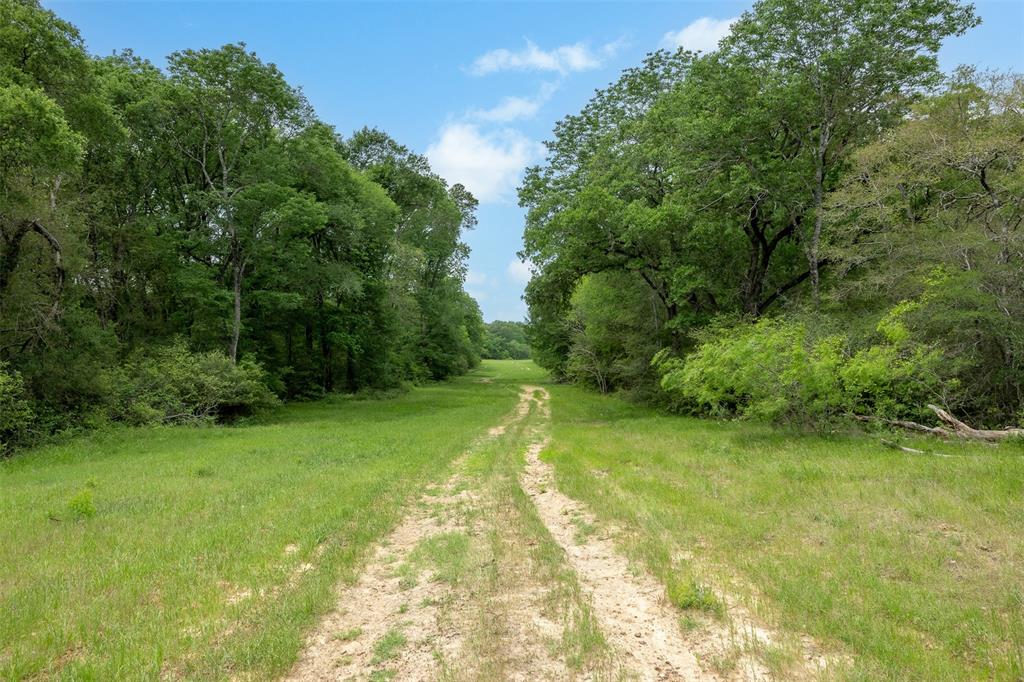 +/-1600 AC Fm 979, Franklin, Texas image 20