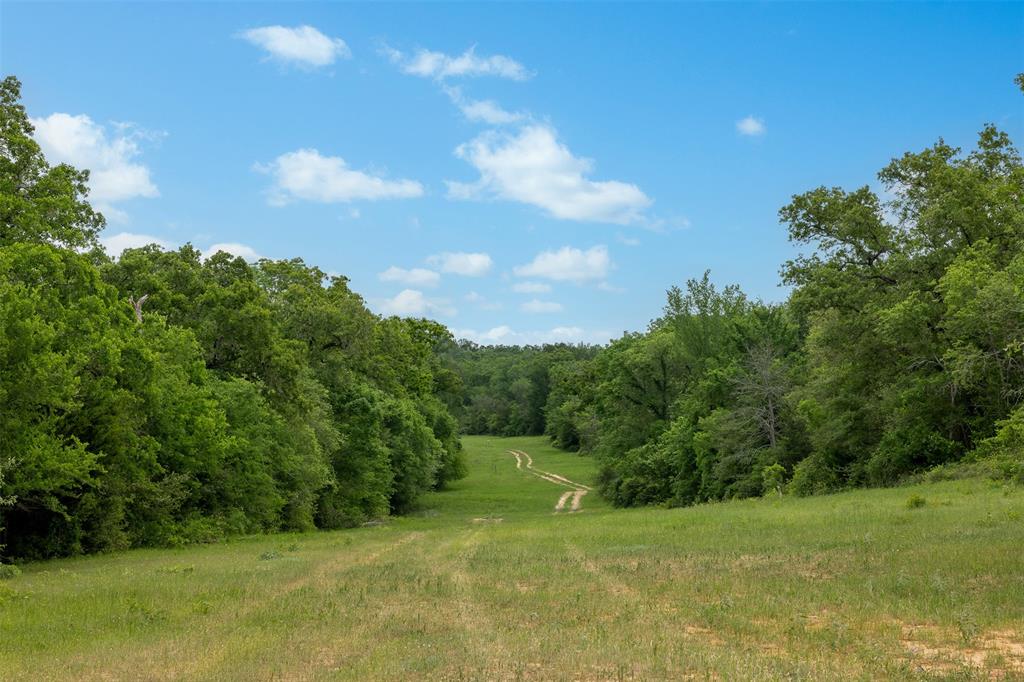 +/-1600 AC Fm 979, Franklin, Texas image 9