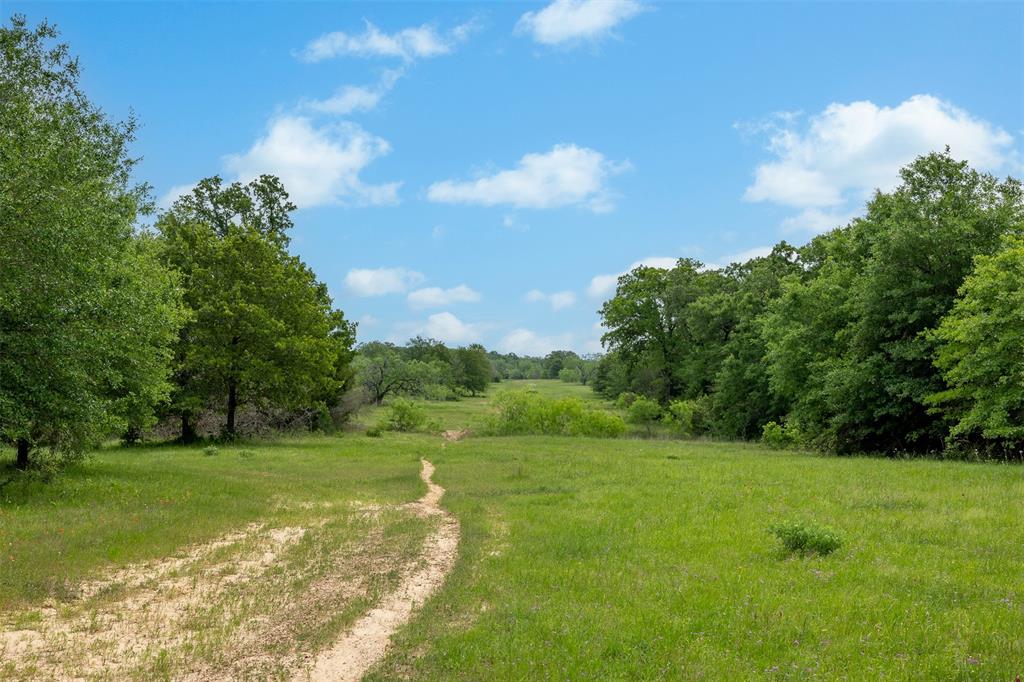 +/-1600 AC Fm 979, Franklin, Texas image 13