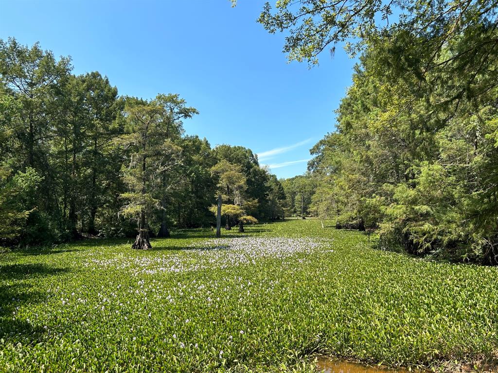 399 County Road 2502, Liberty, Texas image 3