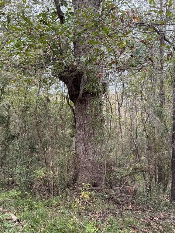 399 County Road 2502, Liberty, Texas image 11