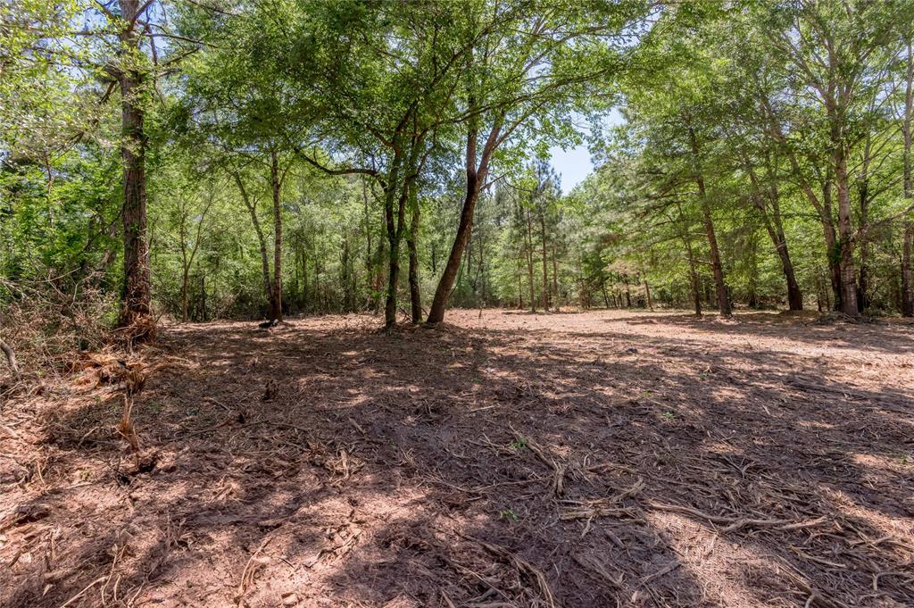 6077 Tract 2 Cr 4200, Pennington, Texas image 5