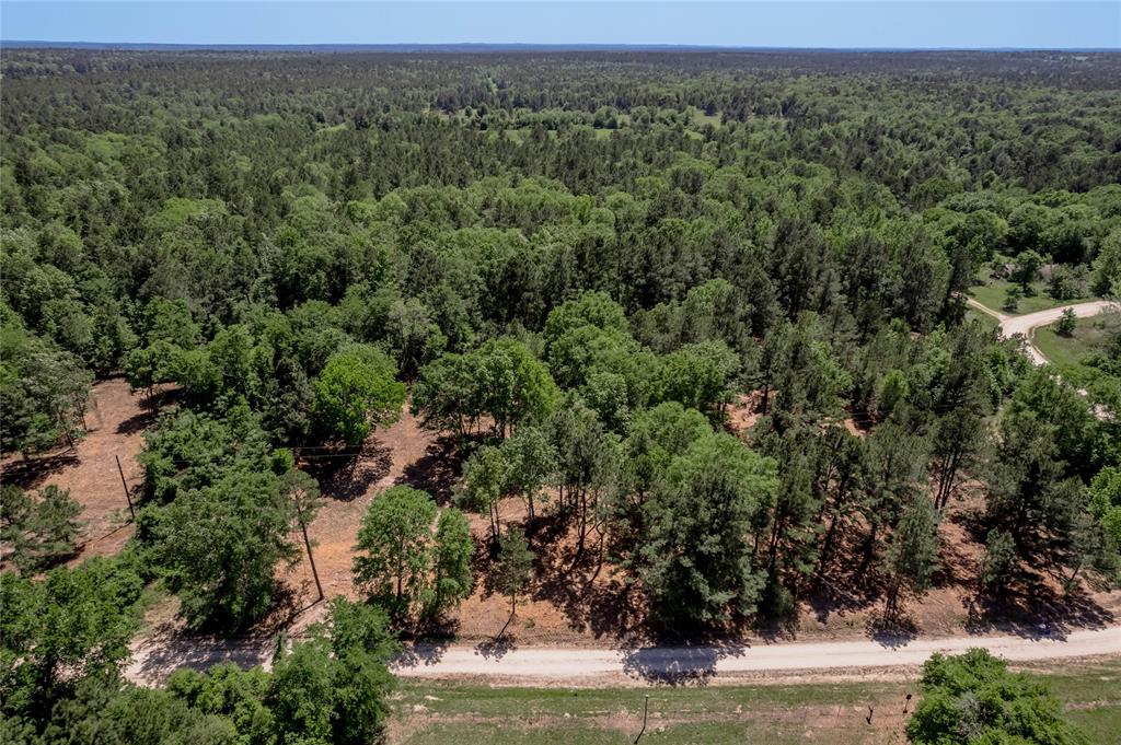 6077 Tract 2 Cr 4200, Pennington, Texas image 7