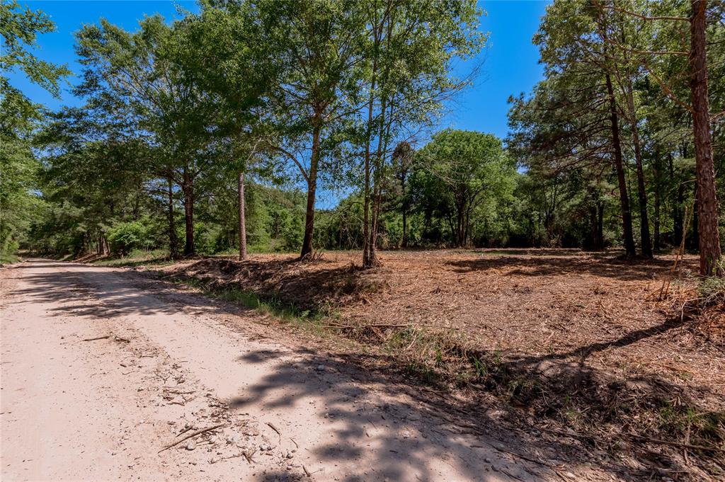 6077 Tract 2 Cr 4200, Pennington, Texas image 2