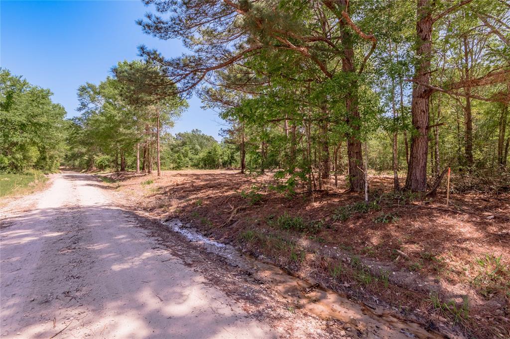 6077 Tract 2 Cr 4200, Pennington, Texas image 4