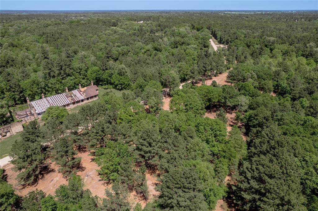 6077 Tract 2 Cr 4200, Pennington, Texas image 1