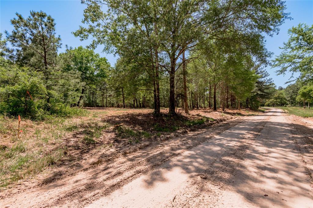 6077 Tract 2 Cr 4200, Pennington, Texas image 3
