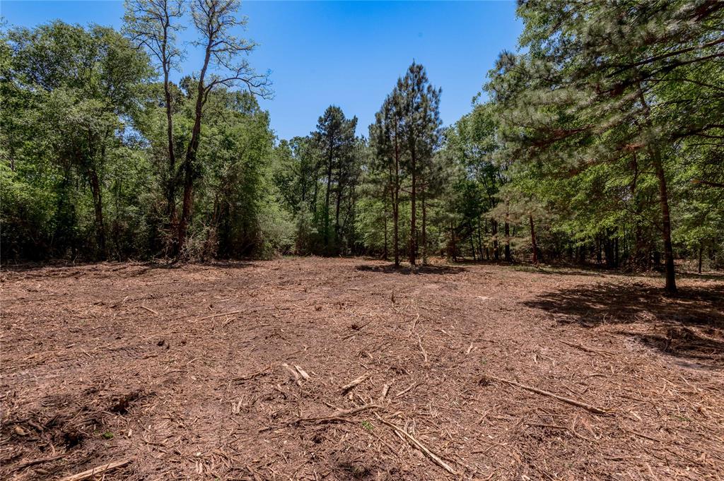 6077 Tract 2 Cr 4200, Pennington, Texas image 6