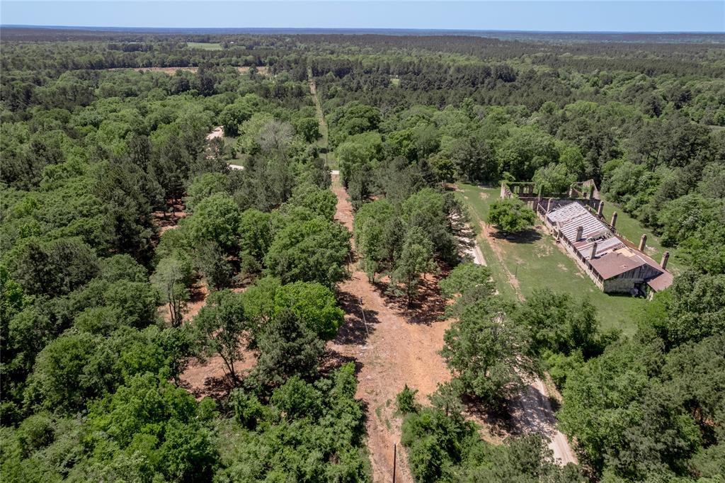 6077 Tract 2 Cr 4200, Pennington, Texas image 9