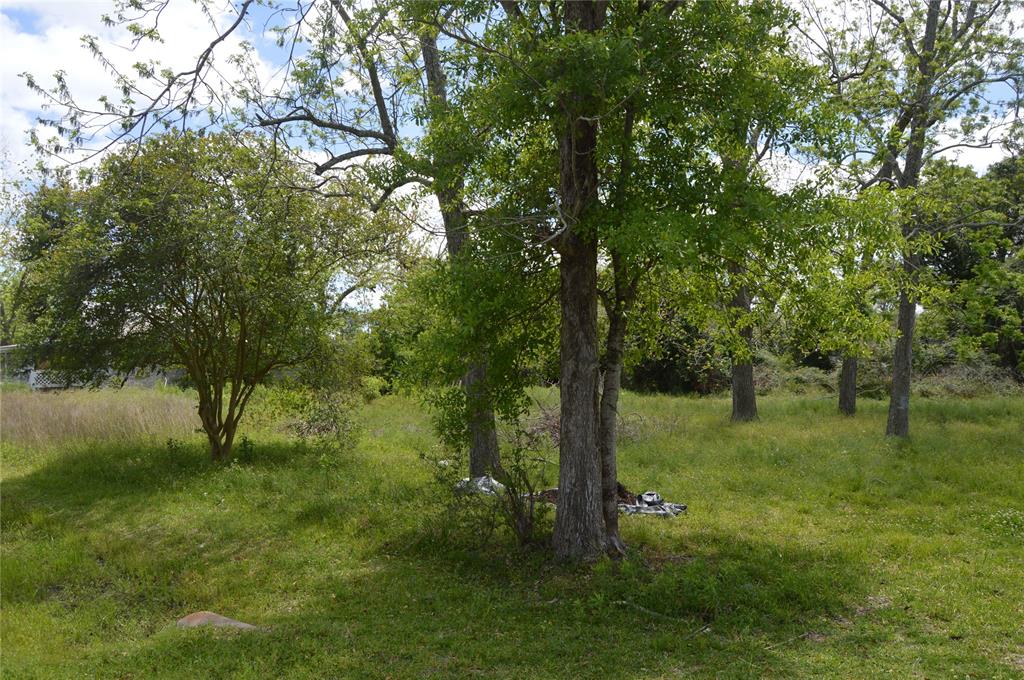 Red Bluff, Seabrook, Texas image 8