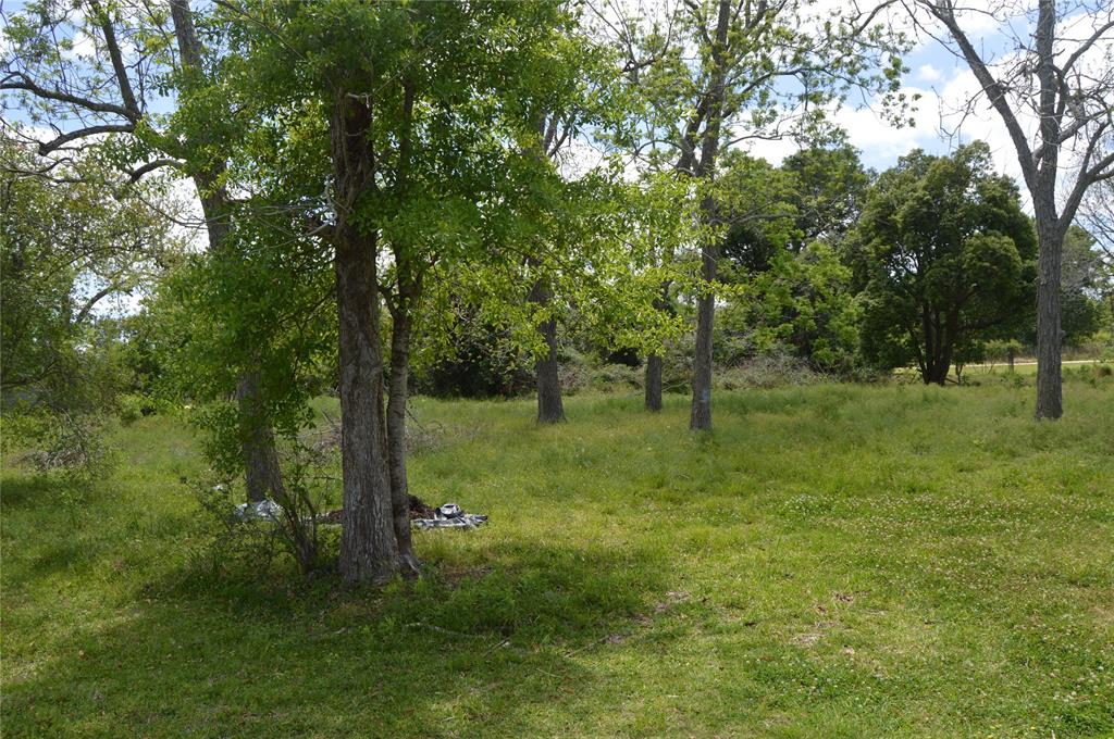 Red Bluff, Seabrook, Texas image 4