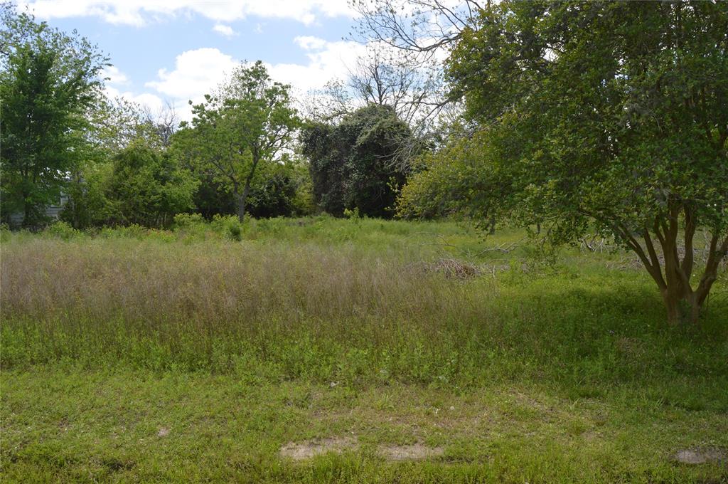 Red Bluff, Seabrook, Texas image 2