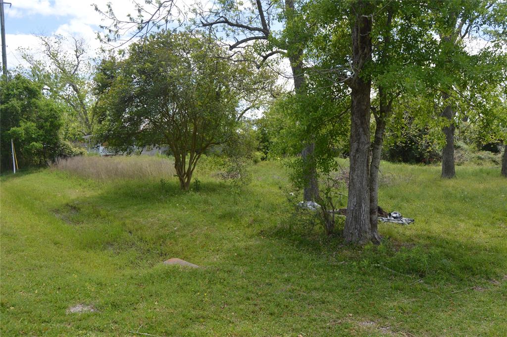 Red Bluff, Seabrook, Texas image 10