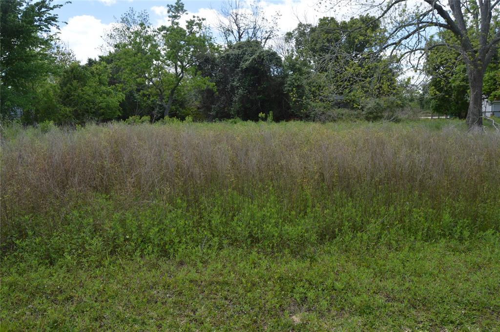 Red Bluff, Seabrook, Texas image 6