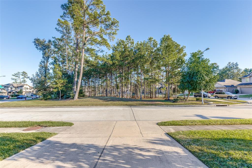 16703 Oakdale Canyon Trace Street, Crosby, Texas image 24