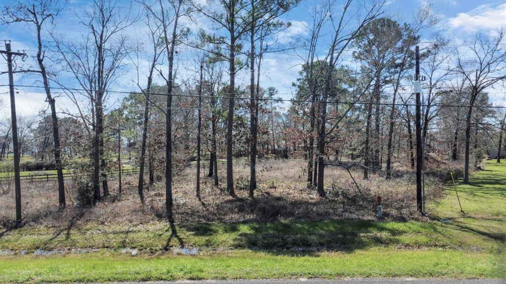 TBD Fm 3277, Livingston, Texas image 12